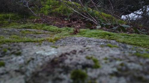 DJI_2364.JPG